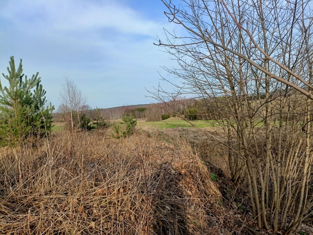 Działka budowlana Szyldak, ul. Szkolna. Zdjęcie 7
