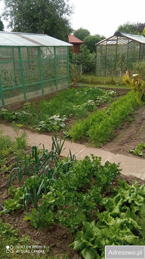 Działka rekreacyjna Słupsk. Zdjęcie 15