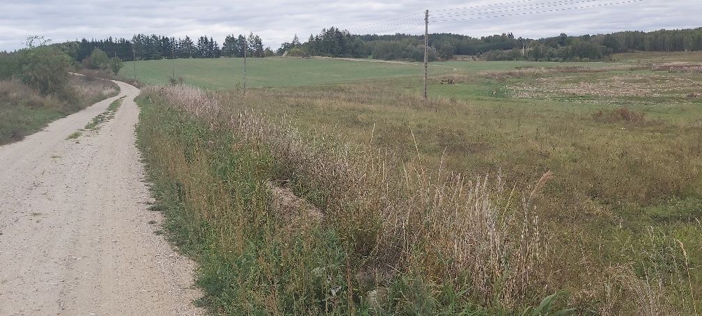 Działka rolno-budowlana Kuty. Zdjęcie 5