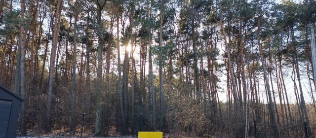 bliźniak, 5 pokoi Wola Chorzelowska Pod Lasem. Zdjęcie 5
