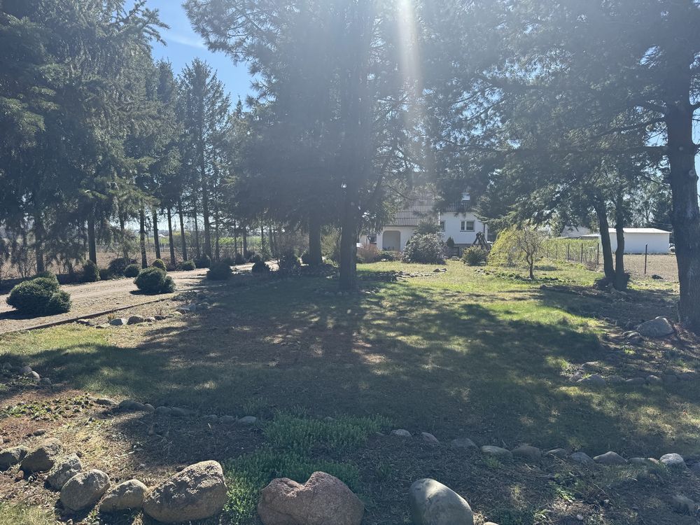 Działka budowlana Łosice. Zdjęcie 4