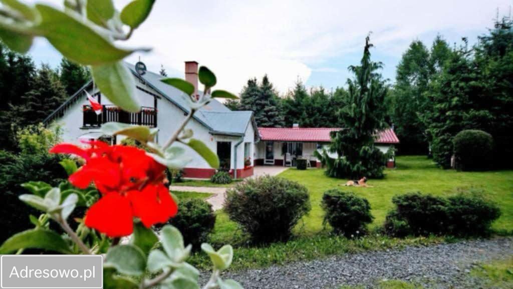 dom wolnostojący, 10 pokoi Radochów. Zdjęcie 9