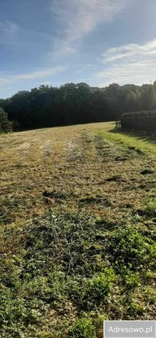 Działka budowlana Jaźwina Janczowice. Zdjęcie 1