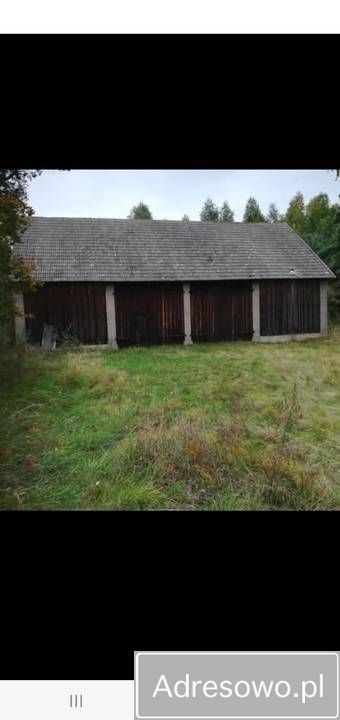 Działka siedliskowa Dąbrowy. Zdjęcie 6