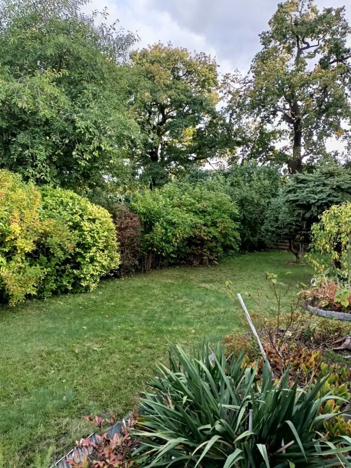 Działka rod Wrocław Stabłowice. Zdjęcie 6