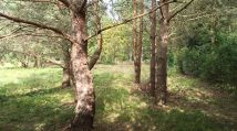 Działka budowlana Karwik. Zdjęcie 3