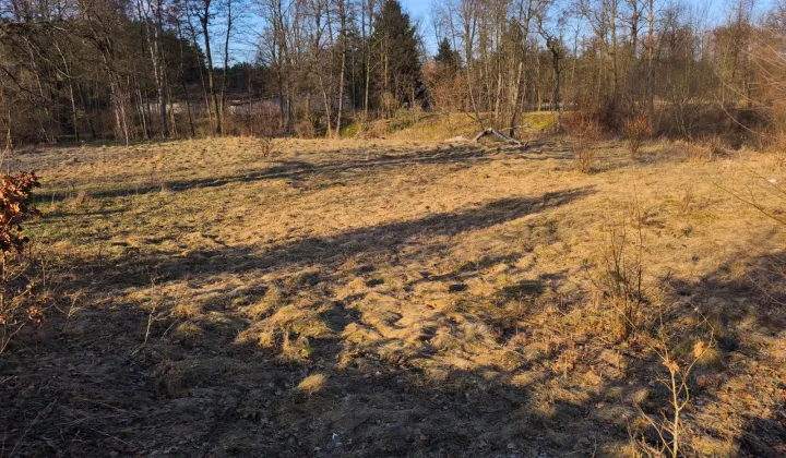 Działka rekreacyjna Rządza, Złota