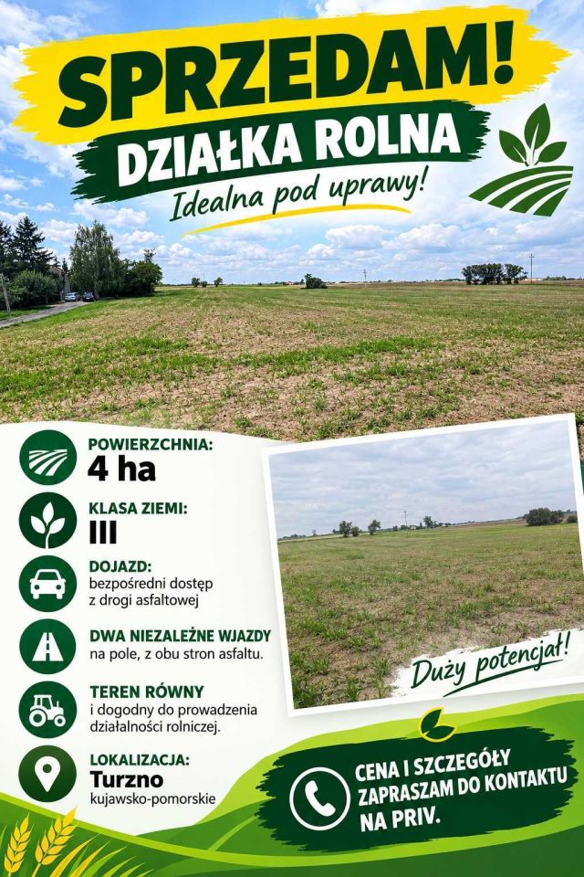 Działka rolna Turzno. Zdjęcie 2