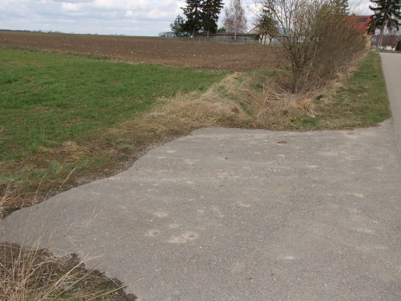 Działka rolno-budowlana Przeździecko-Drogoszewo. Zdjęcie 8