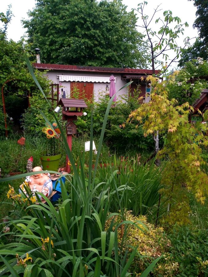 Działka rekreacyjna Katowice Śródmieście, ul. Porfirowa