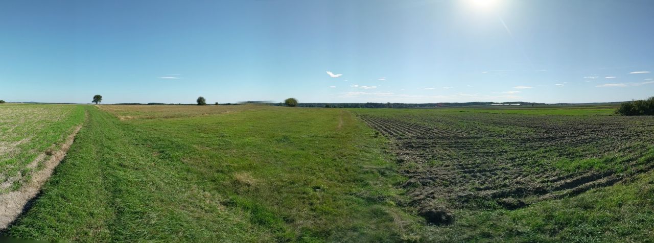 Działka rolna Eliaszówka. Zdjęcie 11