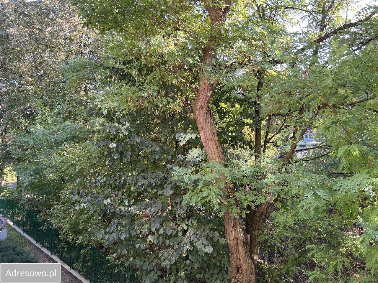 Mieszkanie 2-pokojowe Piaseczno, ul. Julianowska. Zdjęcie 20