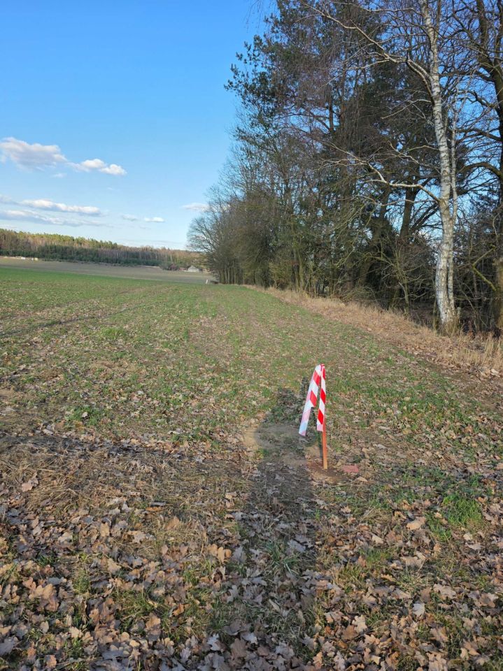 Działka budowlana Krzywice. Zdjęcie 2