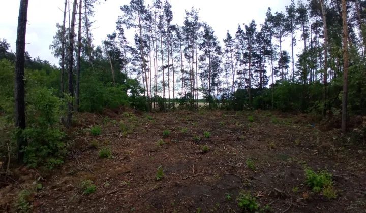 Działka budowlana Ostrów Mazowiecka, ul. Żwirowa