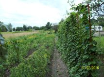 Działka rolno-budowlana Blizne Jasińskiego, ul. Tadeusza Kościuszki. Zdjęcie 1