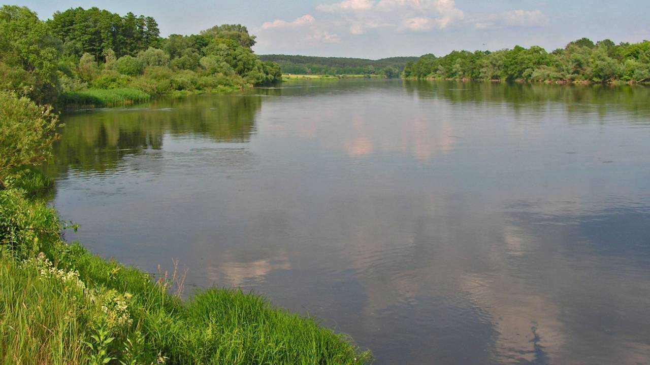 Działka rekreacyjna Sadowne. Zdjęcie 4