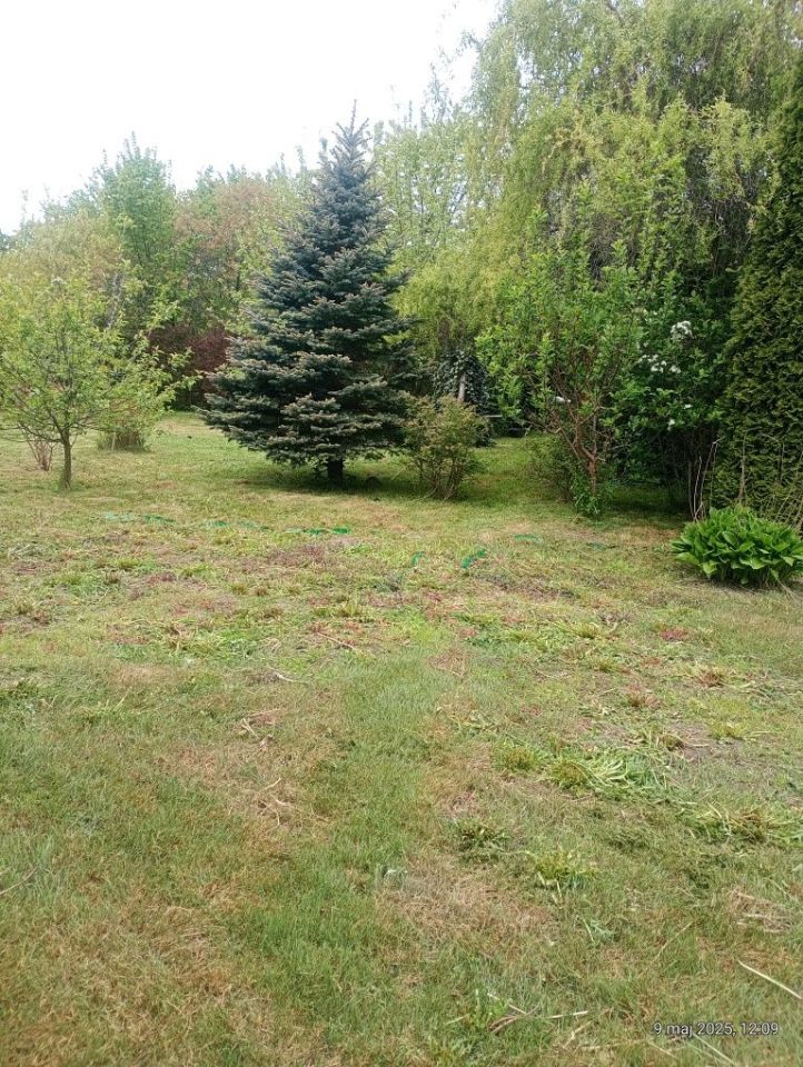 Działka rod Elbląg. Zdjęcie 8