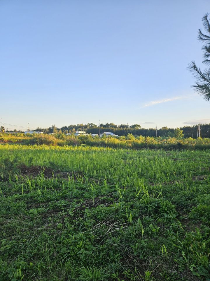 Działka budowlana Radzymin, ul. Pionierska