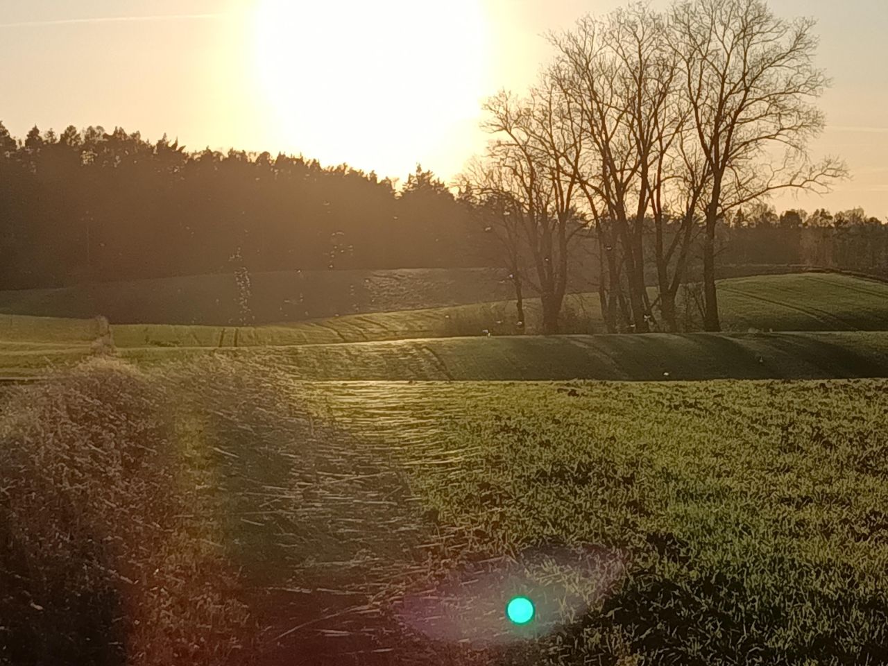 Działka rolno-budowlana Niedamowo. Zdjęcie 8