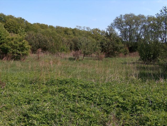 Działka budowlana Włynkówko, ul. Aleja nad Rzeką. Zdjęcie 1