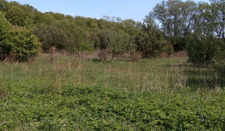 Działka budowlana Włynkówko, ul. Aleja nad Rzeką
