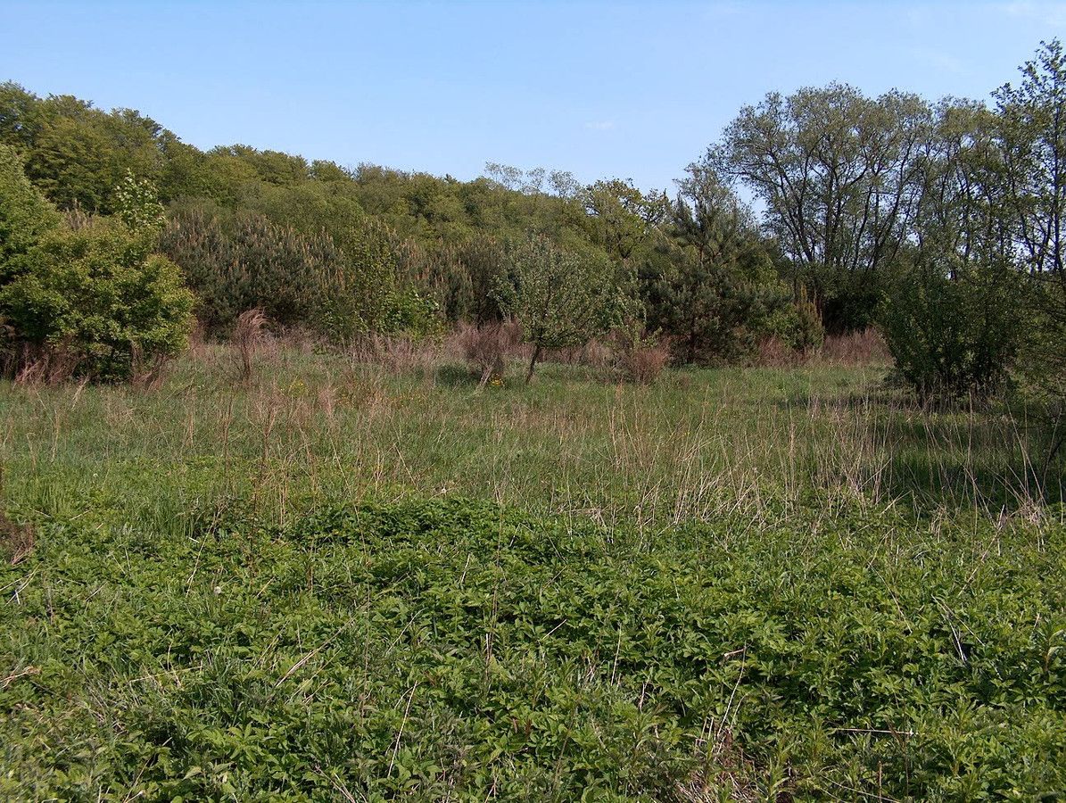 Działka budowlana Włynkówko, ul. Aleja nad Rzeką