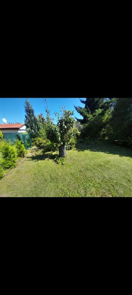 Działka rod Gniezno. Zdjęcie 3