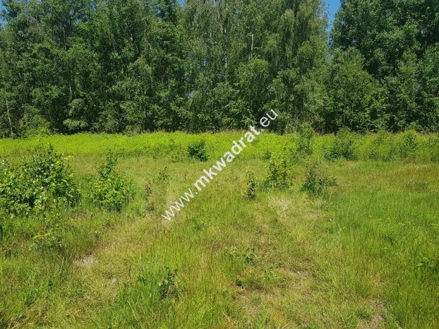 Działka budowlana Czarny Las. Zdjęcie 5