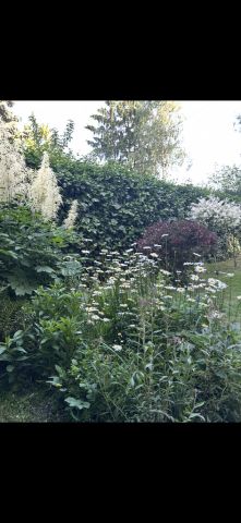 dom wolnostojący, 5 pokoi Ksawerów, ul. Ireny Kosmowskiej. Zdjęcie 29