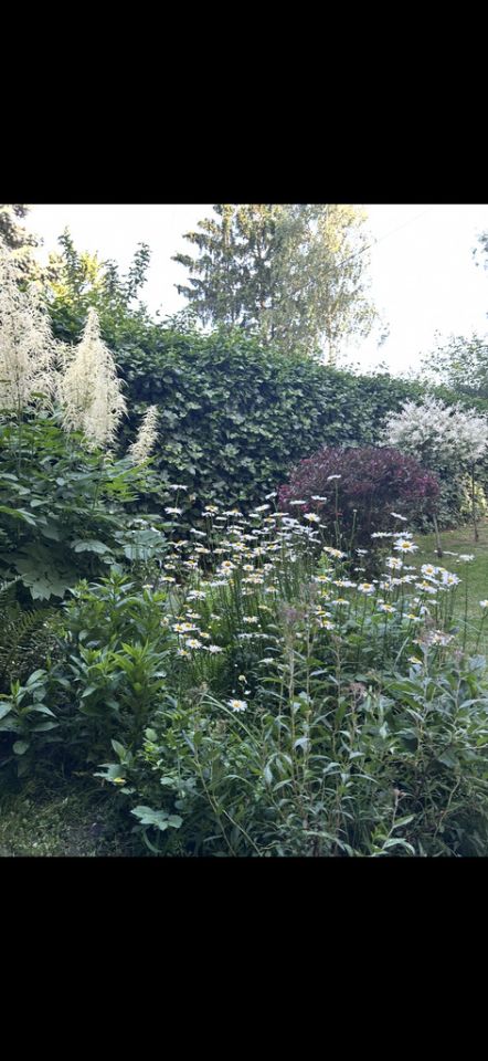 dom wolnostojący, 5 pokoi Ksawerów, ul. Ireny Kosmowskiej. Zdjęcie 29