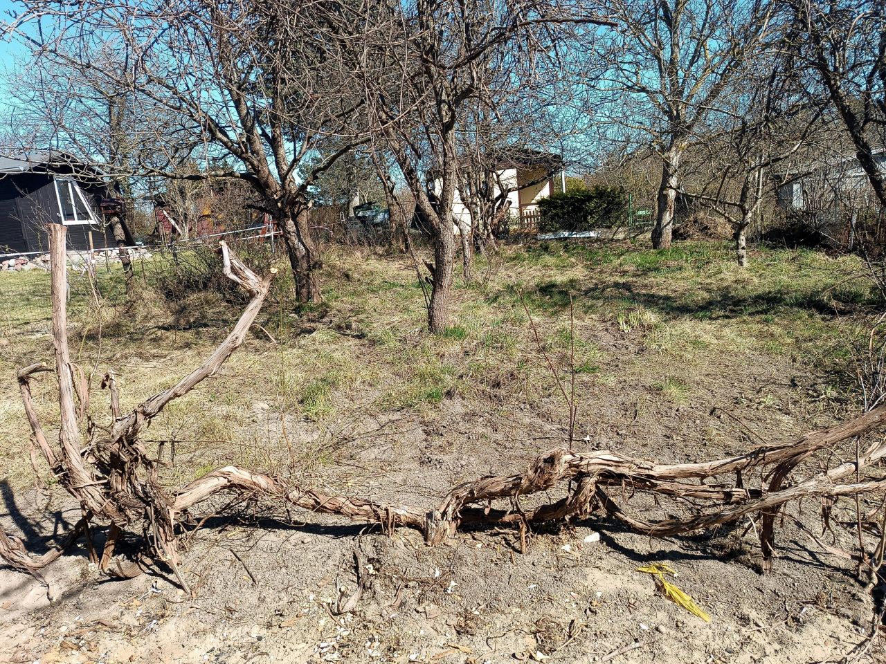 Działka rod Gdańsk Jasień, ul. mjr. Mieczysława Słabego. Zdjęcie 5