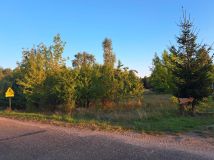 Działka siedliskowa Orłowo. Zdjęcie 2