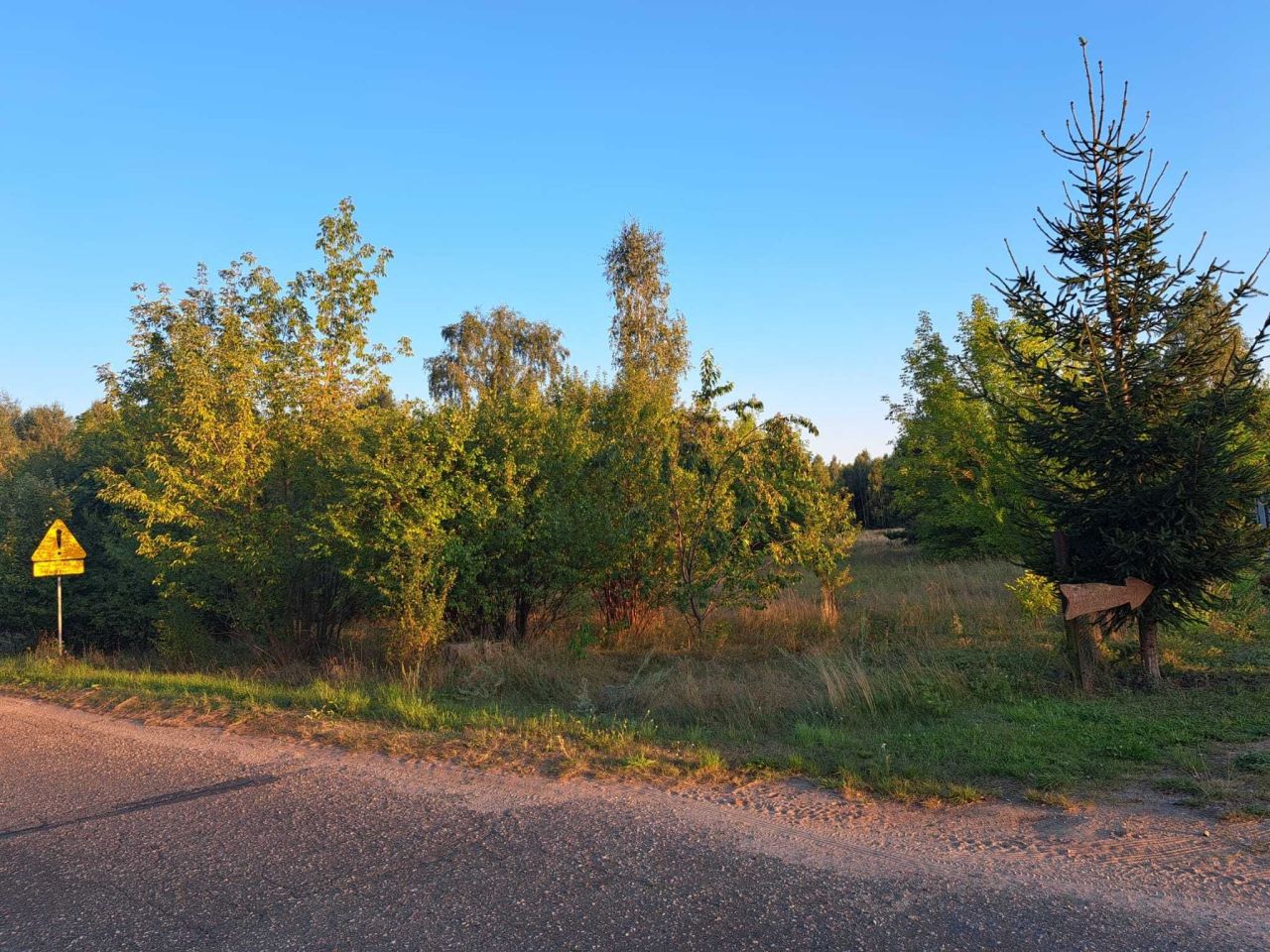 Działka siedliskowa Orłowo. Zdjęcie 3