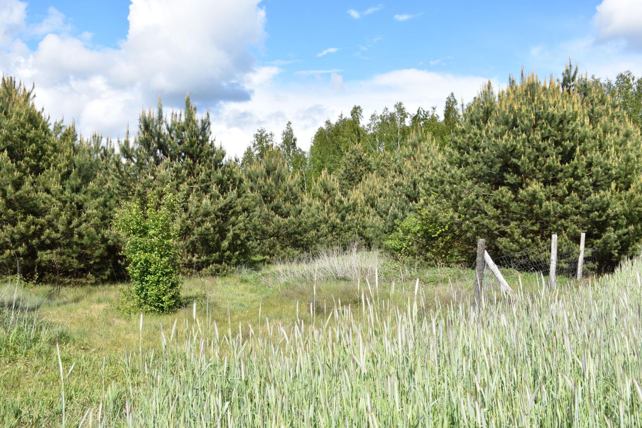 Działka budowlana Burlaki, ul. Akacjowa. Zdjęcie 2