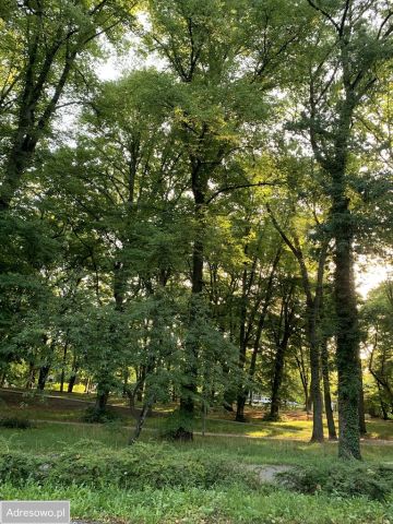 dom wolnostojący, 5 pokoi Szczecin Pogodno, ul. Marii Skłodowskiej-Curie. Zdjęcie 1
