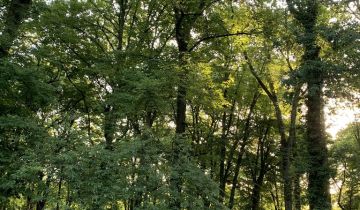 dom wolnostojący, 5 pokoi Szczecin Pogodno, ul. Marii Skłodowskiej-Curie