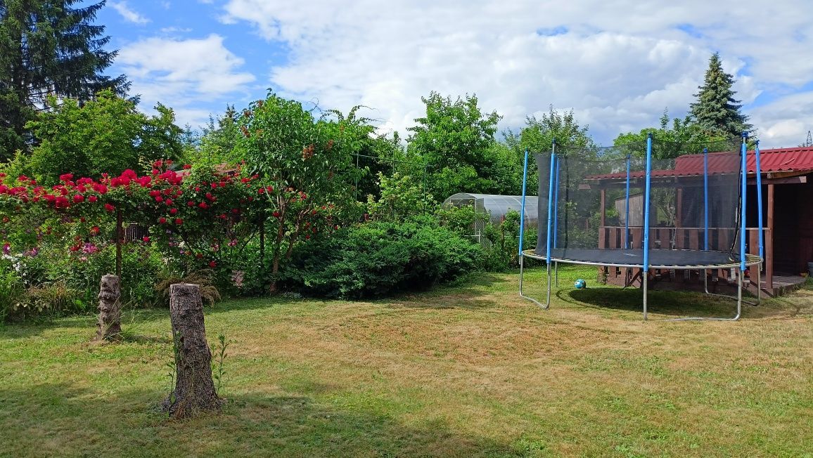 Działka rod Siedlce, ul. Przymiarki. Zdjęcie 1