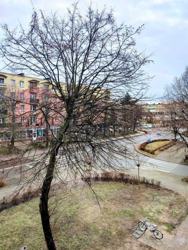 Mieszkanie 2-pokojowe Leszno Centrum, ul. Wojska Polskiego. Zdjęcie 13