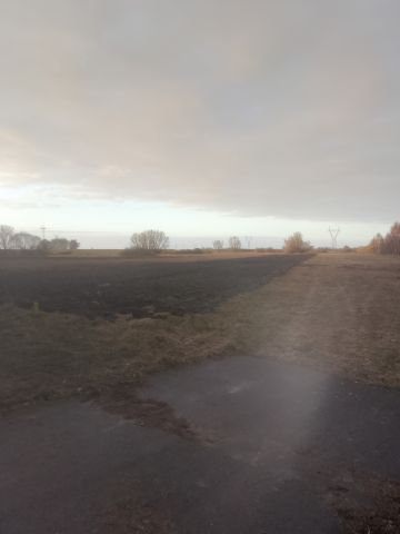 Działka rolna Siniechowo, Siniechowo. Zdjęcie 1