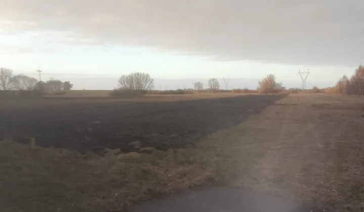 Działka rolna Siniechowo, Siniechowo