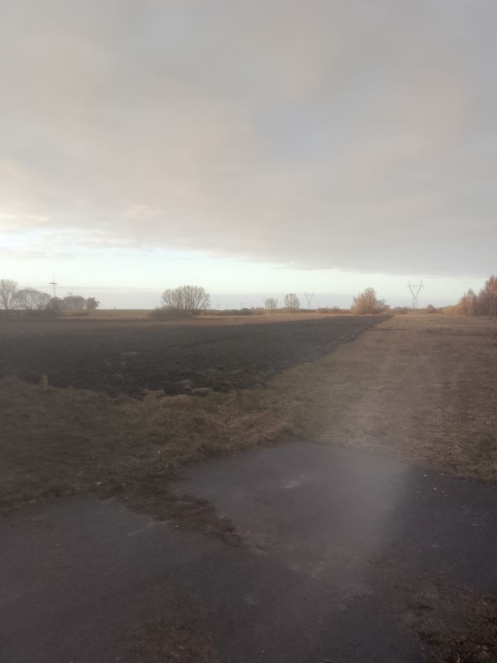 Działka rolna Siniechowo, Siniechowo. Zdjęcie 1