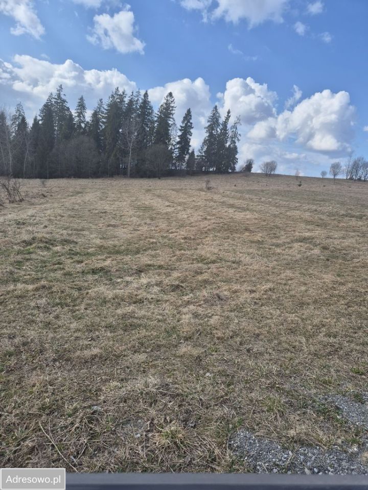 Działka rolna Podsarnie. Zdjęcie 9