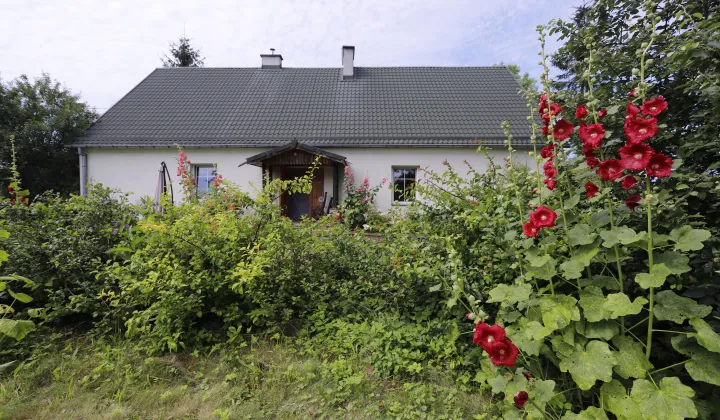 siedlisko, 5 pokoi Zełwągi Nowiny, Zełwągi
