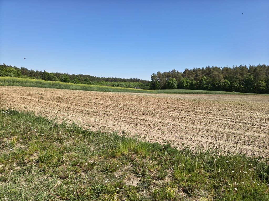 Działka budowlana Karbowo, ul. Parcelowa. Zdjęcie 2