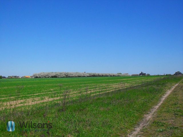 Działka rolna Jedlanka. Zdjęcie 1