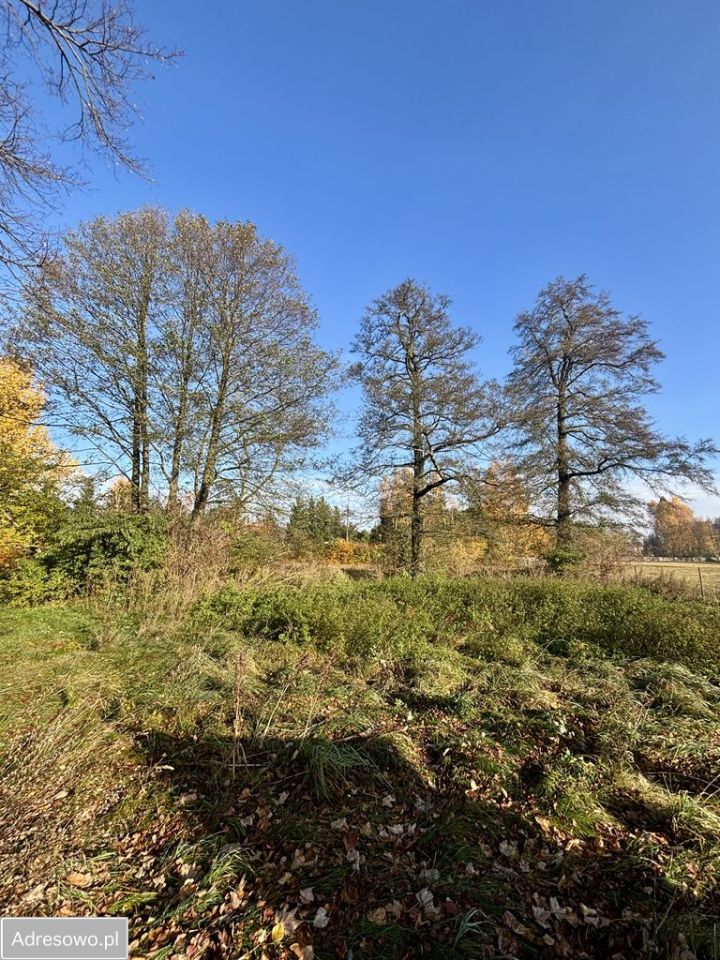 Działka budowlana Trzcianka. Zdjęcie 2