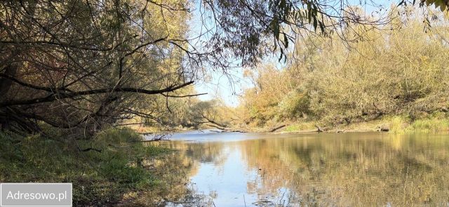 Działka rolna Topolno. Zdjęcie 5