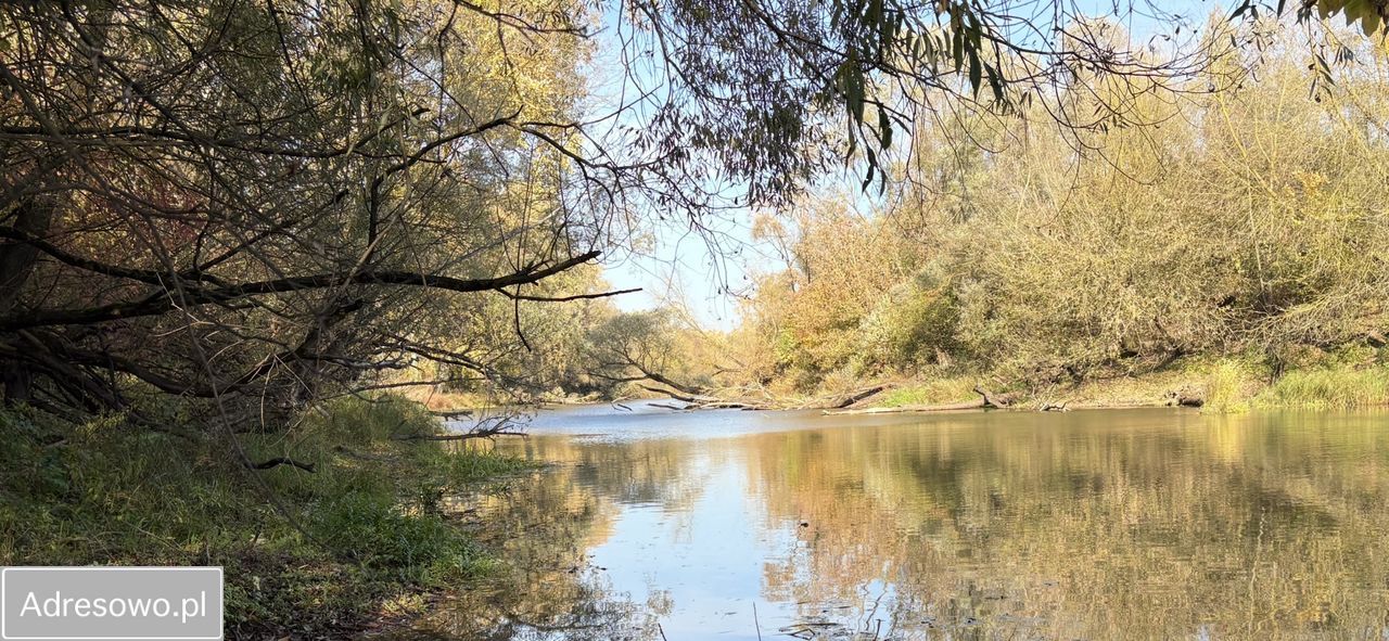 Działka rolna Topolno. Zdjęcie 5