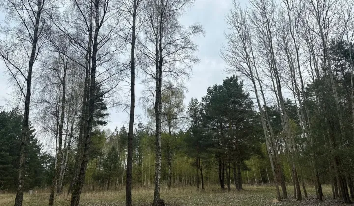 Działka budowlana Pilchowo