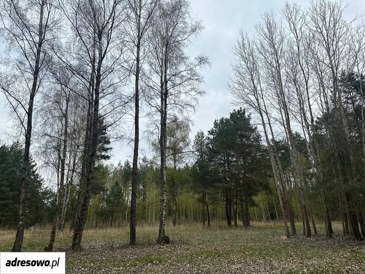 Działka budowlana Pilchowo. Zdjęcie 1